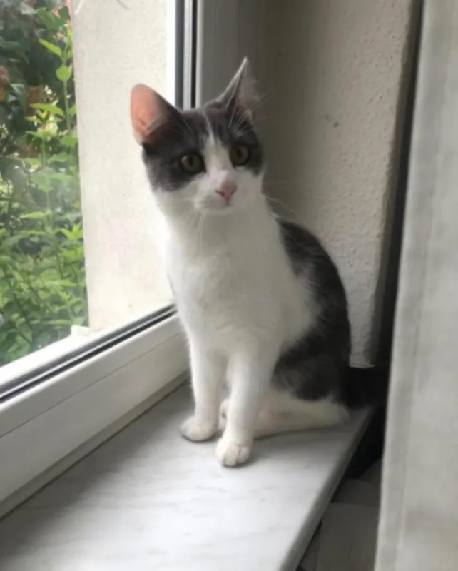Finny, Frankfurt (Oder)
