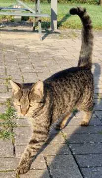 Leni, Bad Salzuflen