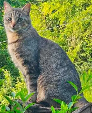 Lucy, Runkel