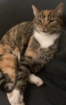 Astrid, Isenbüttel