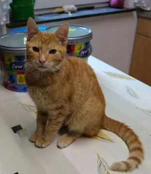 Freddy, Rietberg