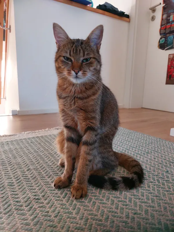 Lili, Offenburg