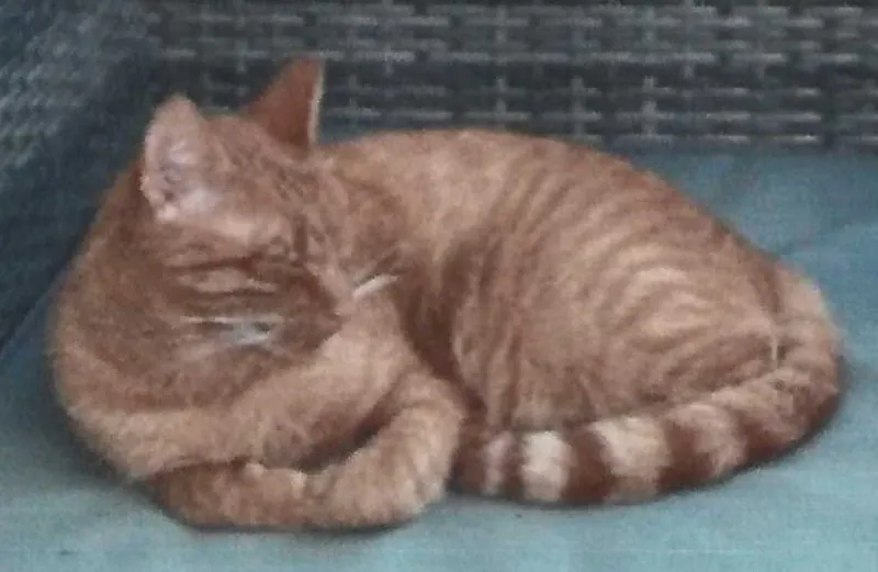 Robbie, Ruderatshofen