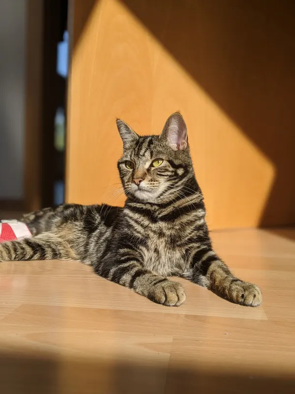 MONTY, Bad Tölz