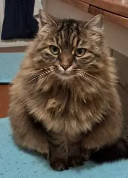 Ella, Emmendingen